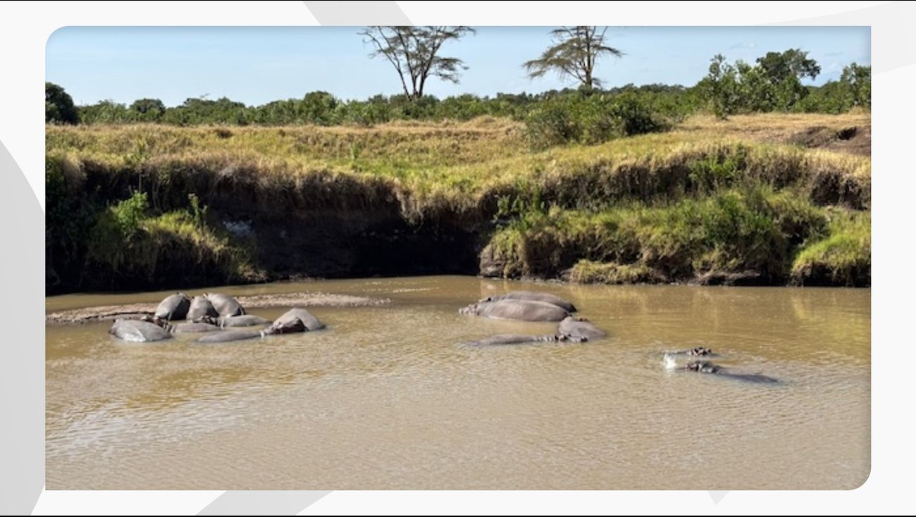 Gemist - Amateurpaleontoloog uit Almere op congres in Nairobi