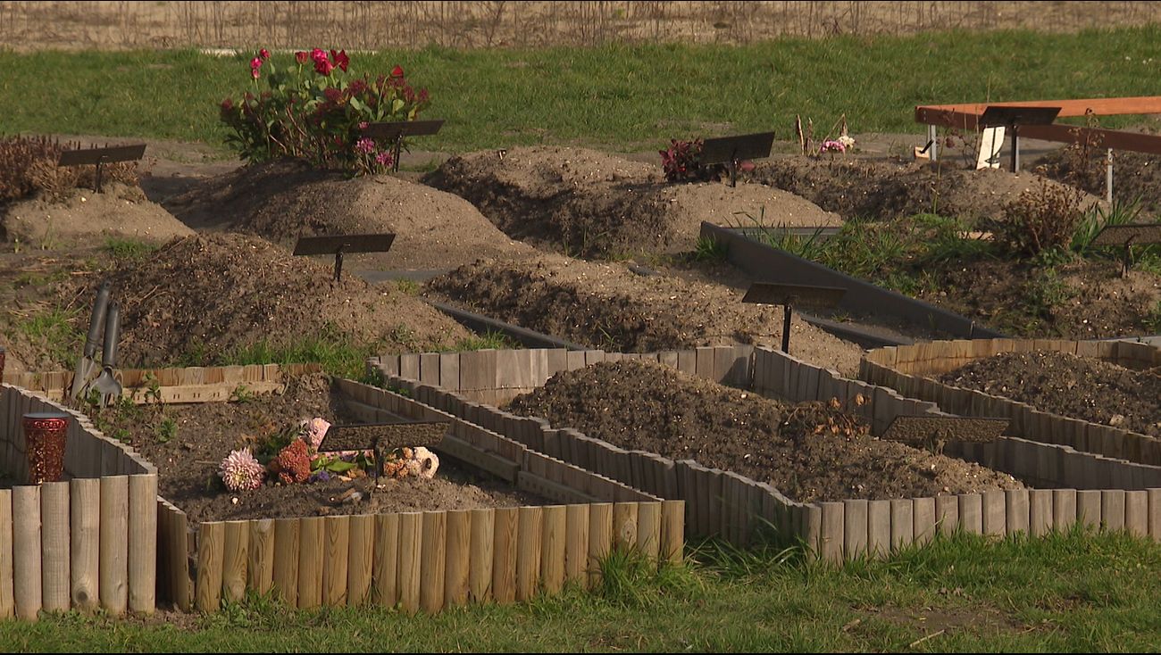 Nieuws - Islamitische begraafplaats in Oosterwold in 1,5 jaar tijd van 1 naar ruim 100 graven