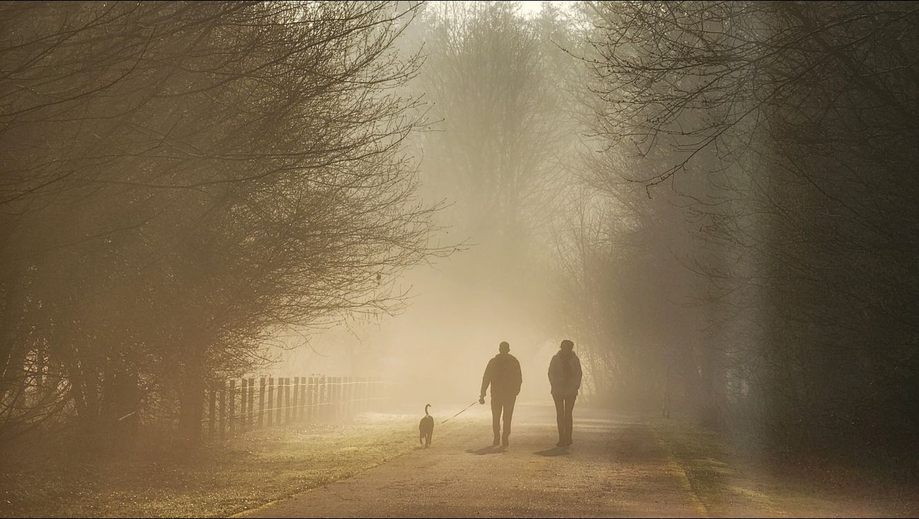 Nieuws - Maart roert zijn staart: halverwege de week slaat het weer om