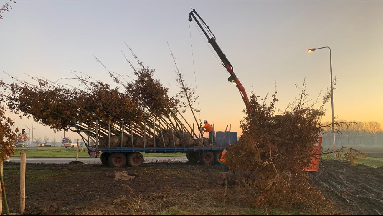 Nieuws - Nieuwe bomen bij tankstations langs Gooiseweg