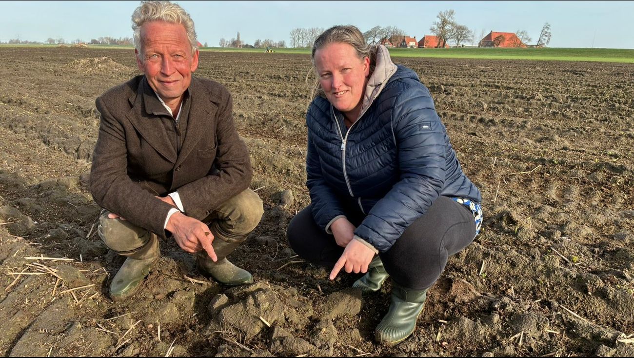 Nieuws - Eerste Flevolandse kievitsei 2026 gevonden in Luttelgeest