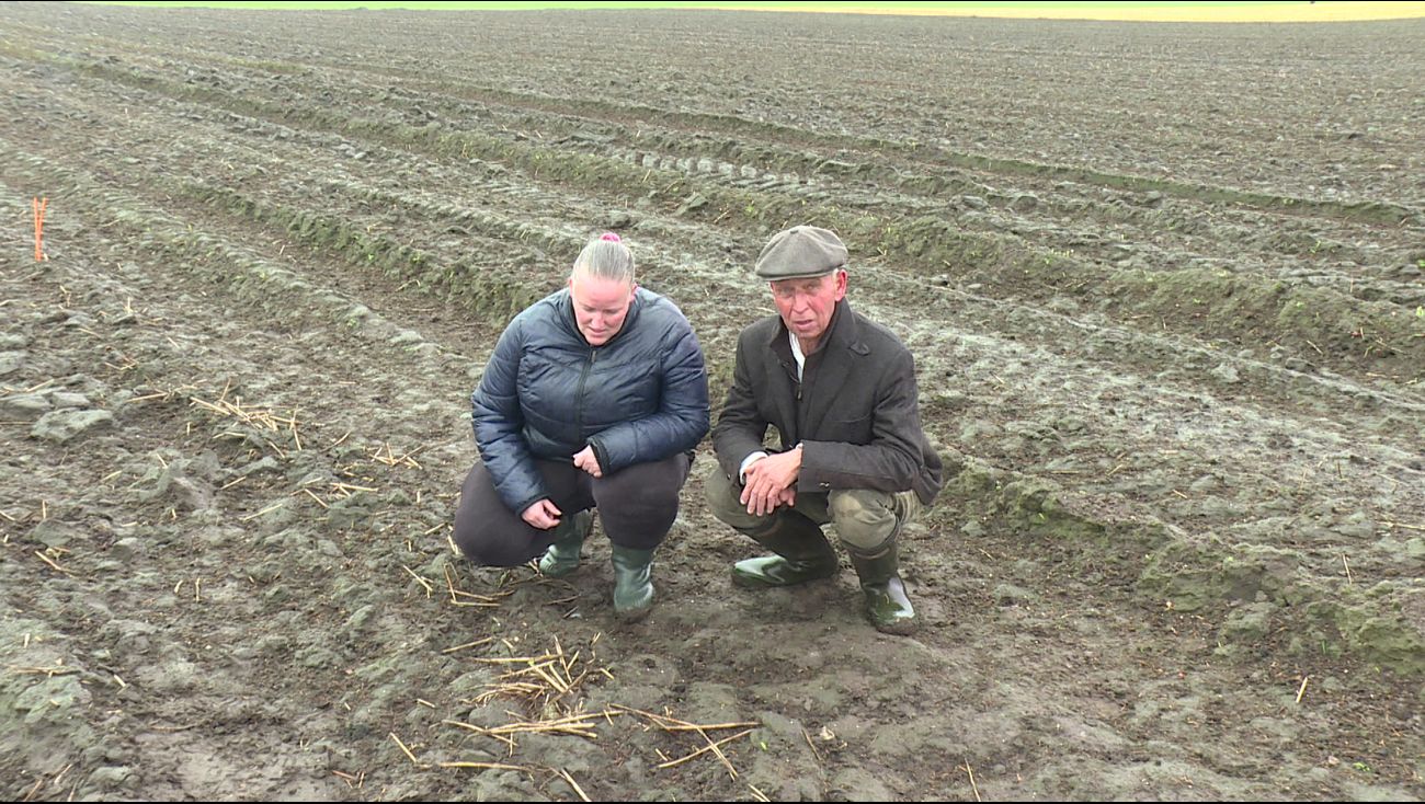 Nieuws - Klaas en Karin vinden eerste kievitsei van Flevoland: 'Elkaar toch even omhelsd'