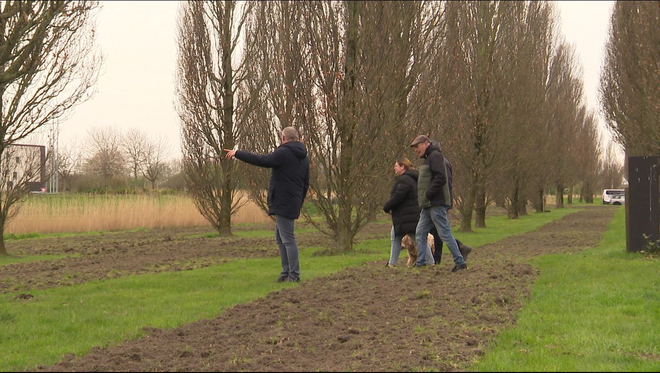 'Geen inspraak nodig': gemeente Lelystad verdedigt omploegen groenstrook in Landstrekenwijk