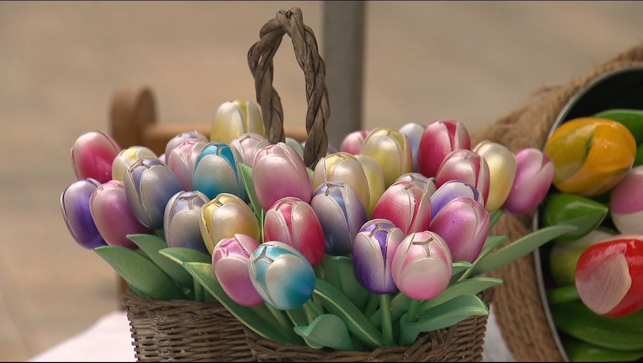 Nieuws - Tulpen Kunst Route wil bollenvelden en de stad dichter bij elkaar brengen