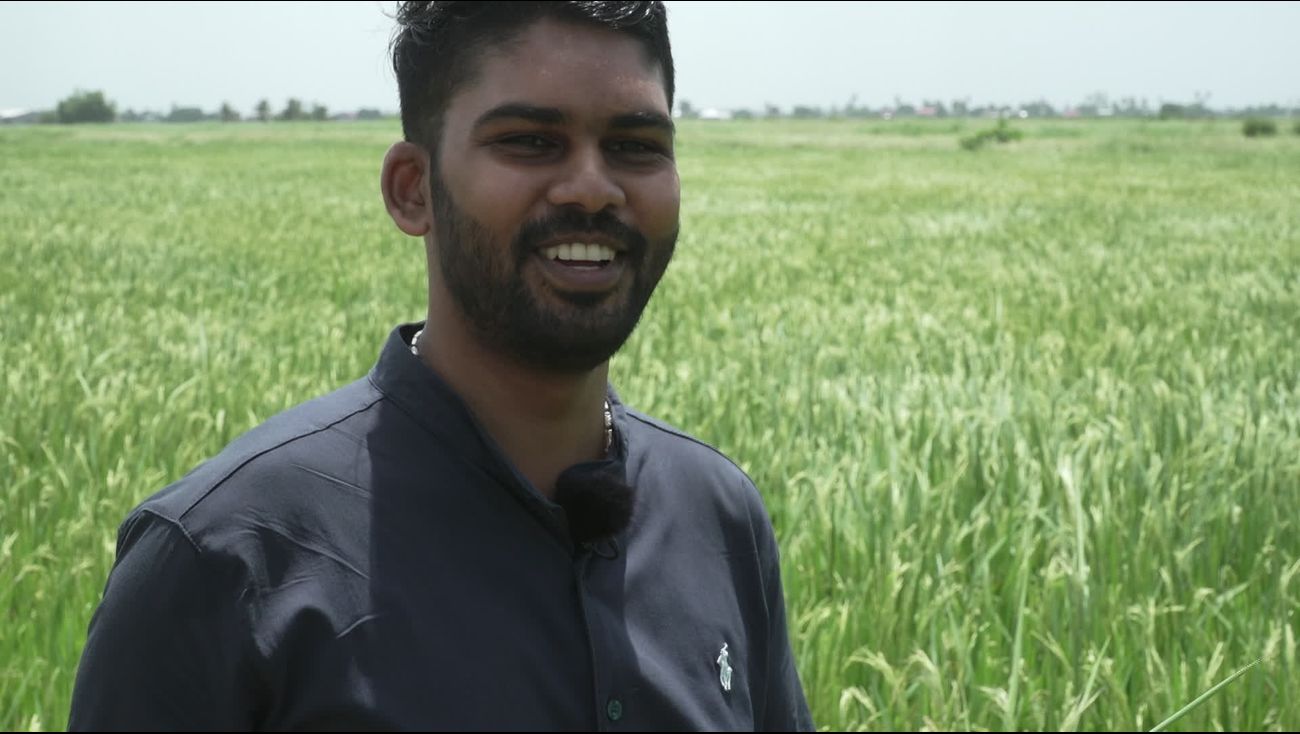 Nieuws - Terug naar de rijstvelden: Prithvi Thakoer kiest bewust voor Suriname