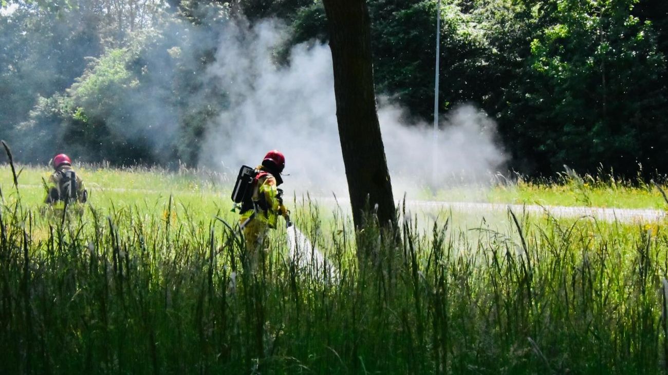 Nieuws - Brandweer Zeewolde druk in de weer met pluisjesbranden