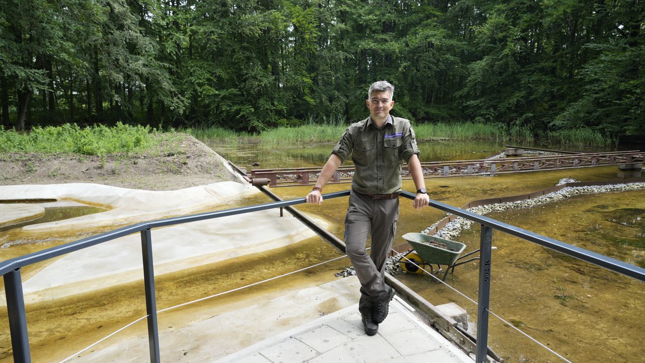 Nieuws - Onder modder en riet lag een stukje IJmuiden in het bos verstopt