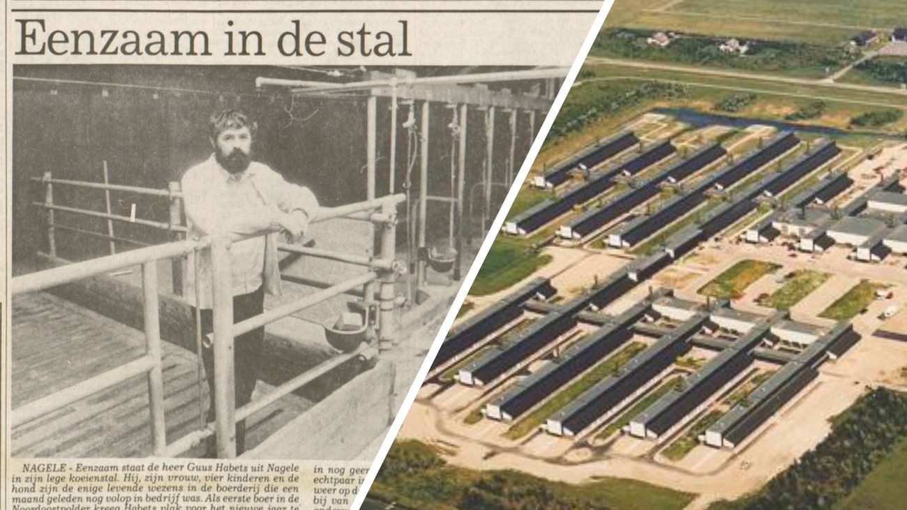 Mond-en-klauwzeer dat in 1983 opdook in Nagele kwam 'vrijwel zeker' uit Lelystads onderzoekslab