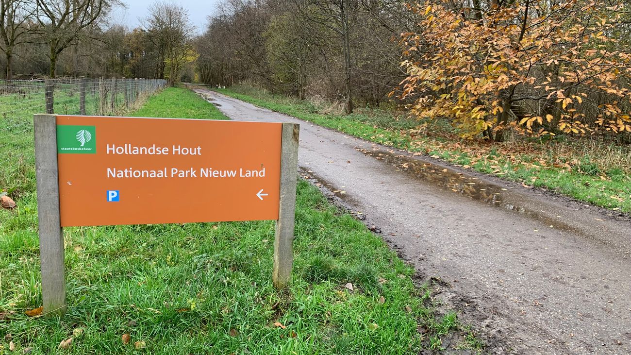 Nieuws - Netcongestie zit natuurcamping dwars - kleinere camping is plan B