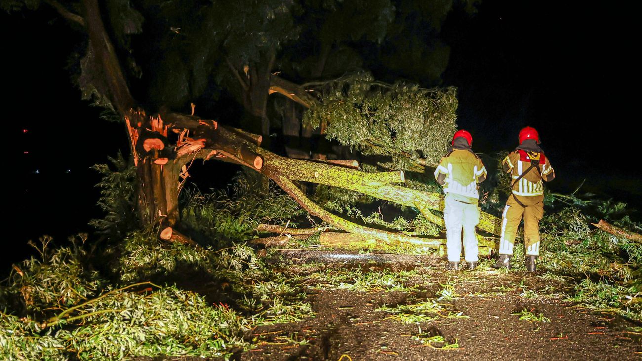Nieuws - Gemeente NOP: 'Inwoners, kom deze week nog niet in het bos'