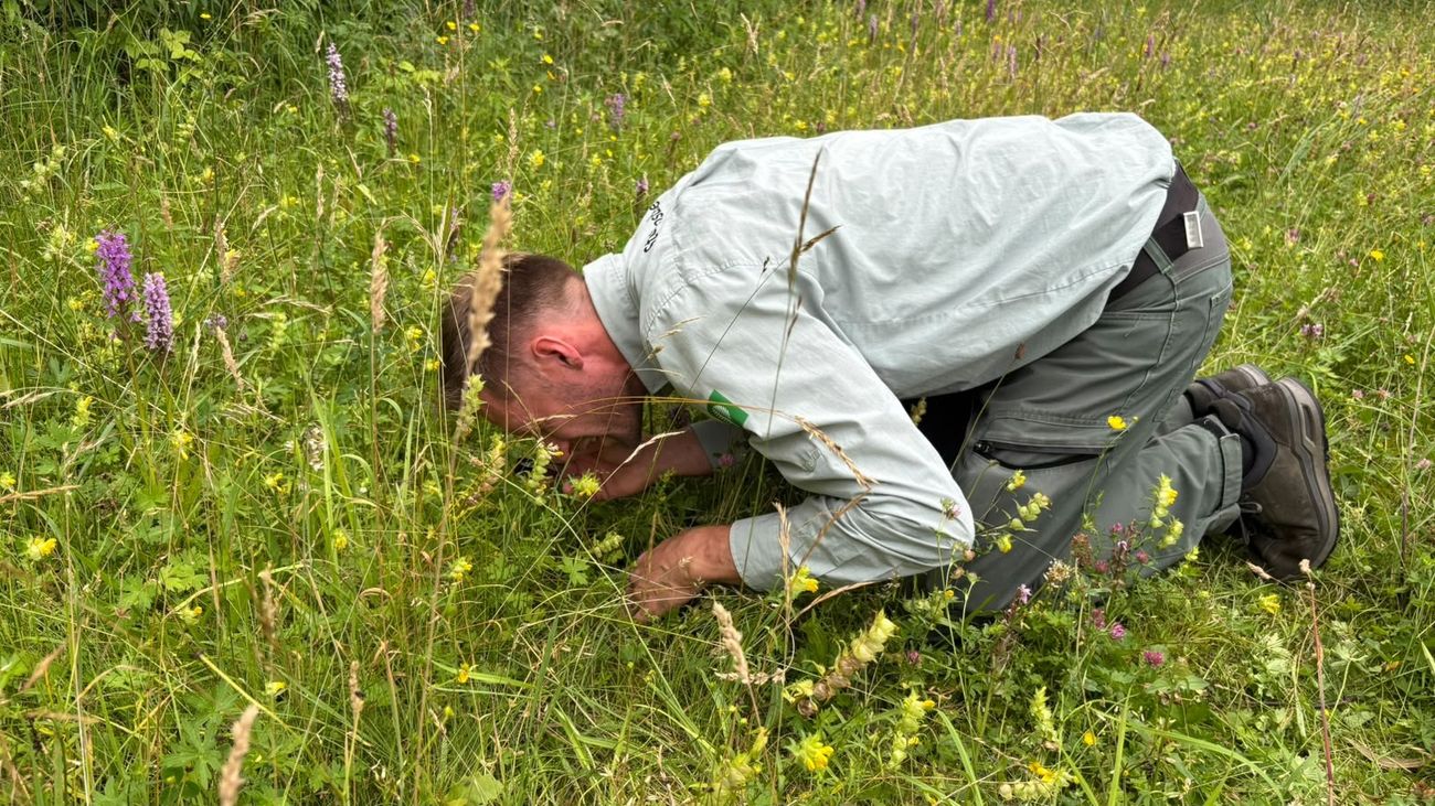 Gemist - Op zoek naar verschillende soorten in de Oostvaardersplassen