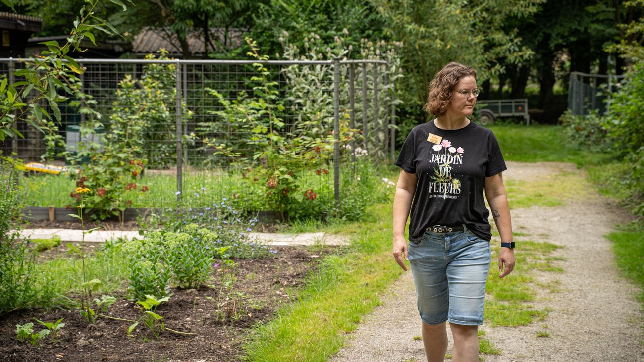 Nieuws - Verwaarloosd stukje natuur in Dronten door imkers omgetoverd tot bijentuin