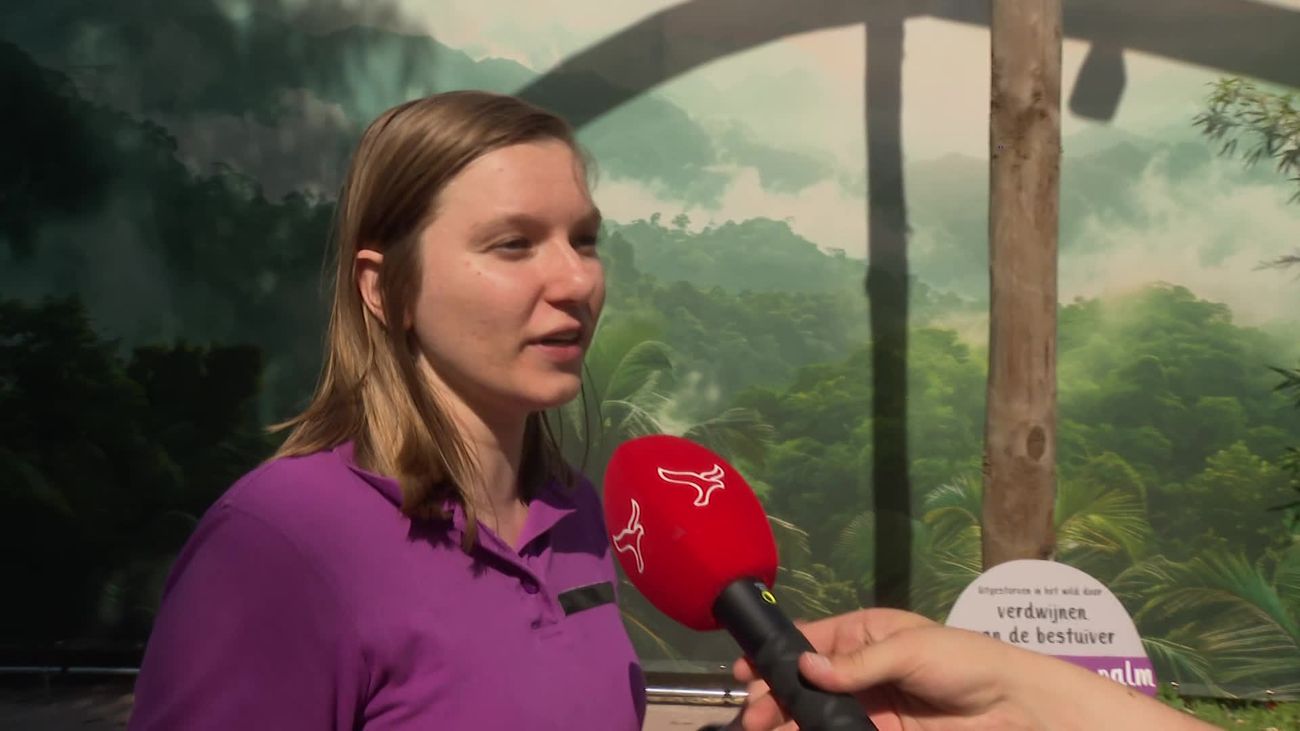 Gemist - Informatie over de impact van de mens op natuur en dieren