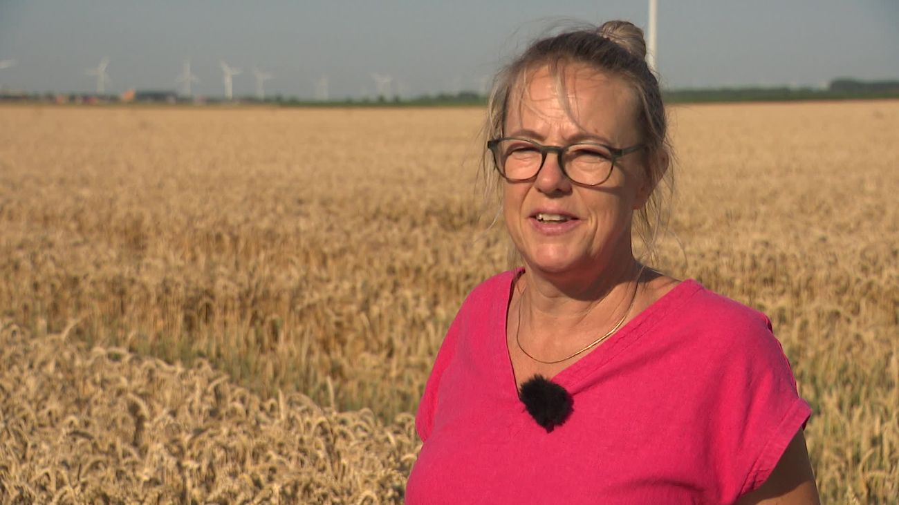 Nieuws - Boerin Karin telt al zeven jaar nachtvlinders: 'Er ging een wereld voor me open'