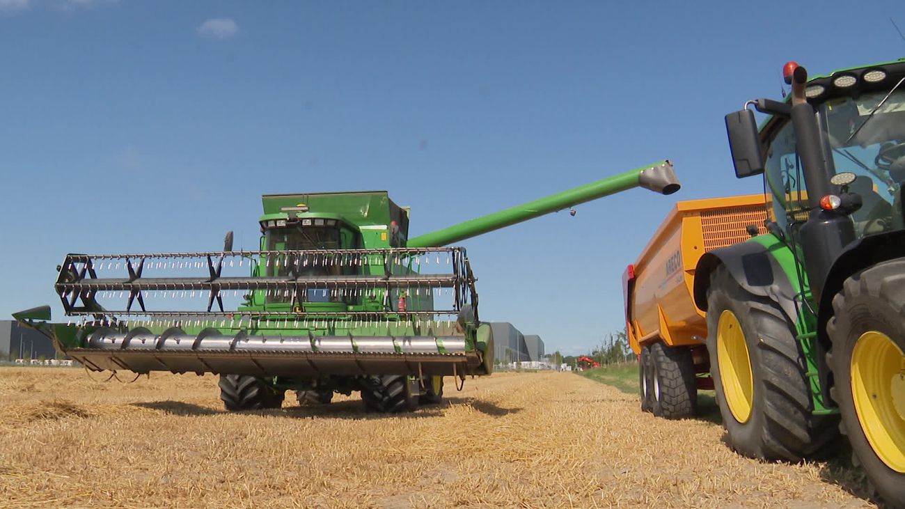 Nieuws - Levert de droogte akkerbouwers een nieuw 'gouden jaar' op?