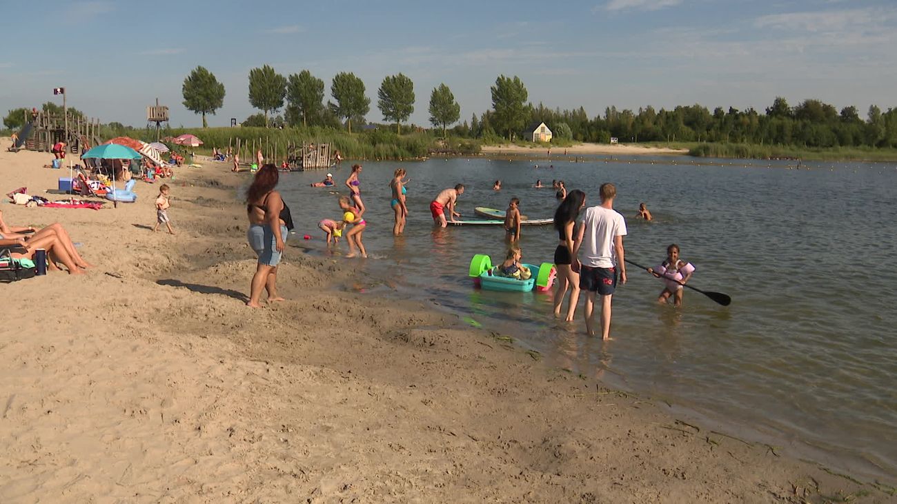 Nieuws - Virus blijkt inderdaad oorzaak van dode karpers in Wellerwaard, zwemwater blijft veilig