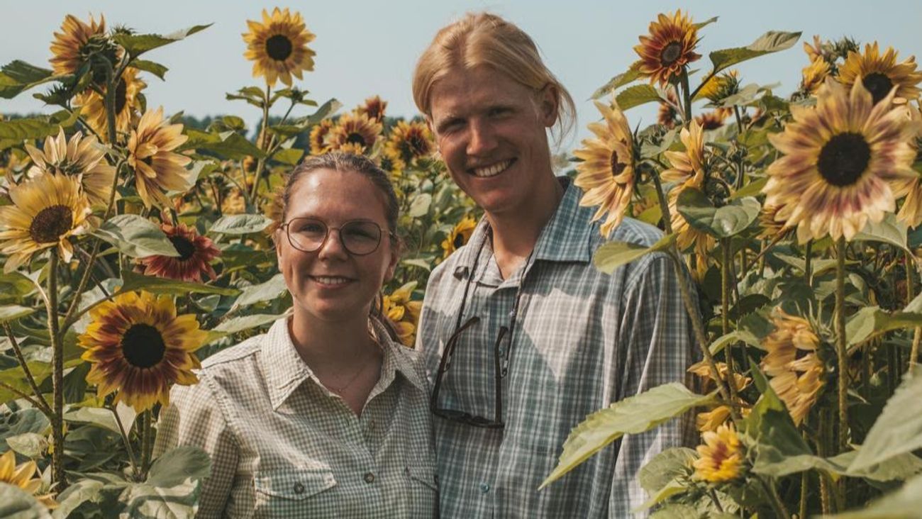 Gemist - Een bloeiende zaak: zonnebloemen en wijn gaan hand in hand in Dronten
