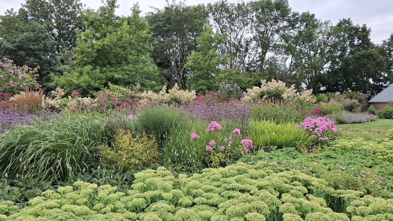 Gemist - Noordoostpolder in Bloei: negen tuinen openen dit weekend hun hek voor tuinliefhebbers