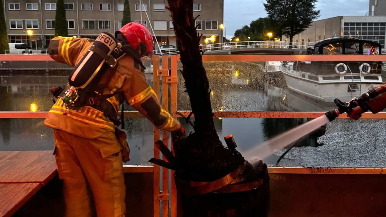 Nieuws - Buurtbewoner blust brandende palmboom op terras The Lux in Zeewolde