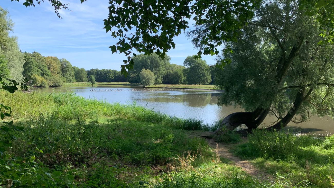 Toekomstvisie Natuurpark: meer activiteiten maar afscheid van de wilde zwijnen