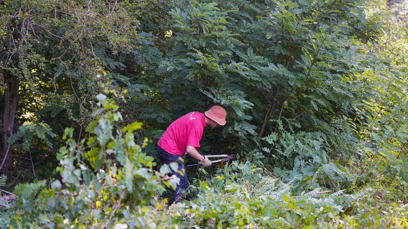 Nieuws - Geen festivalbandje, maar werkhandschoenen: jongeren ruimen het Waterloopbos op