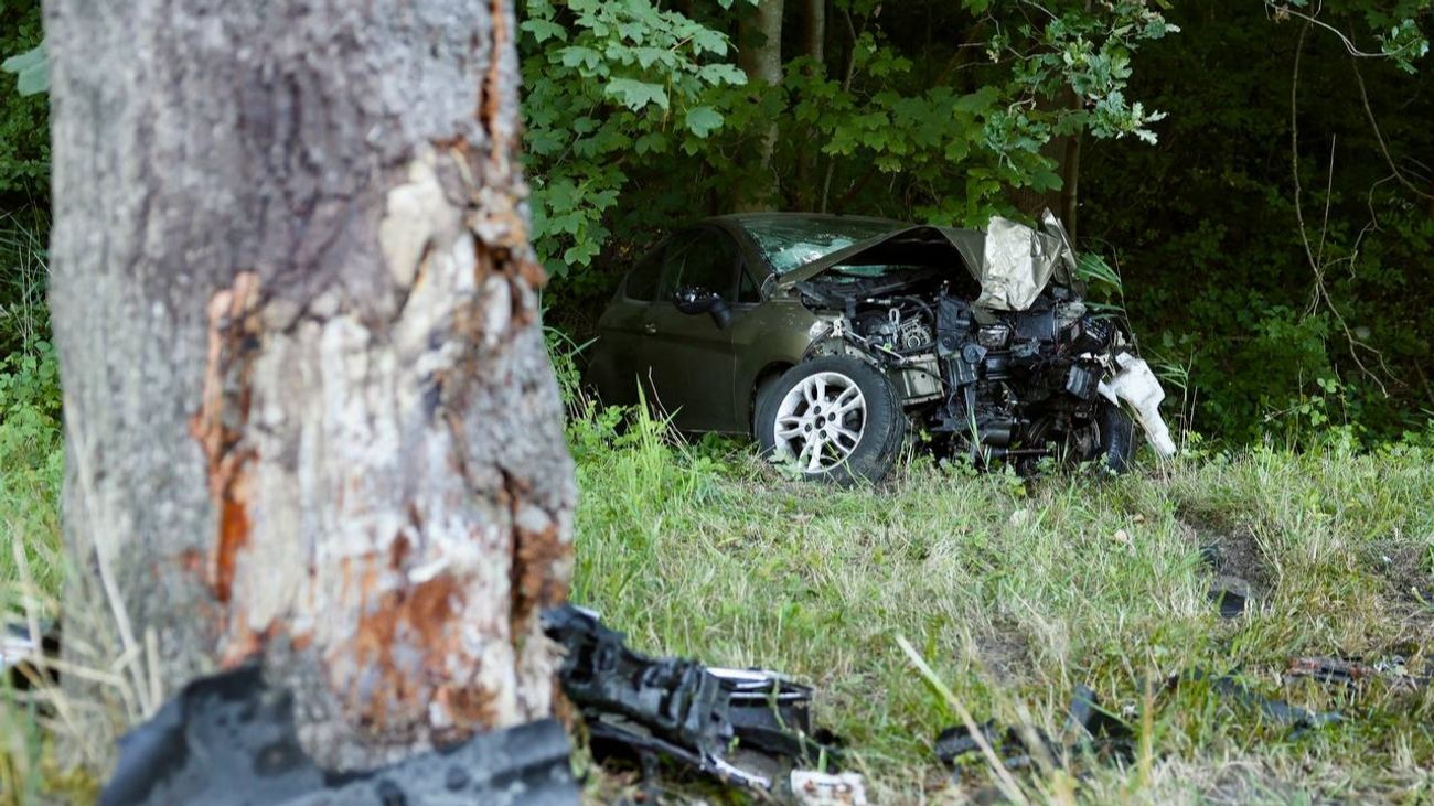 Nieuws - Automobiliste gewond na botsing op boom bij Bant