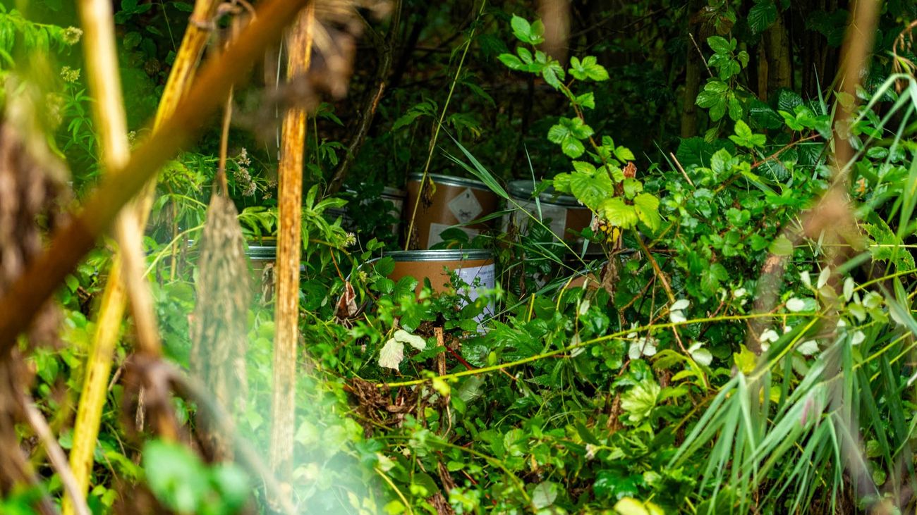 Aluminium blikken met 'giftige' inhoud gevonden in Lelystads bos