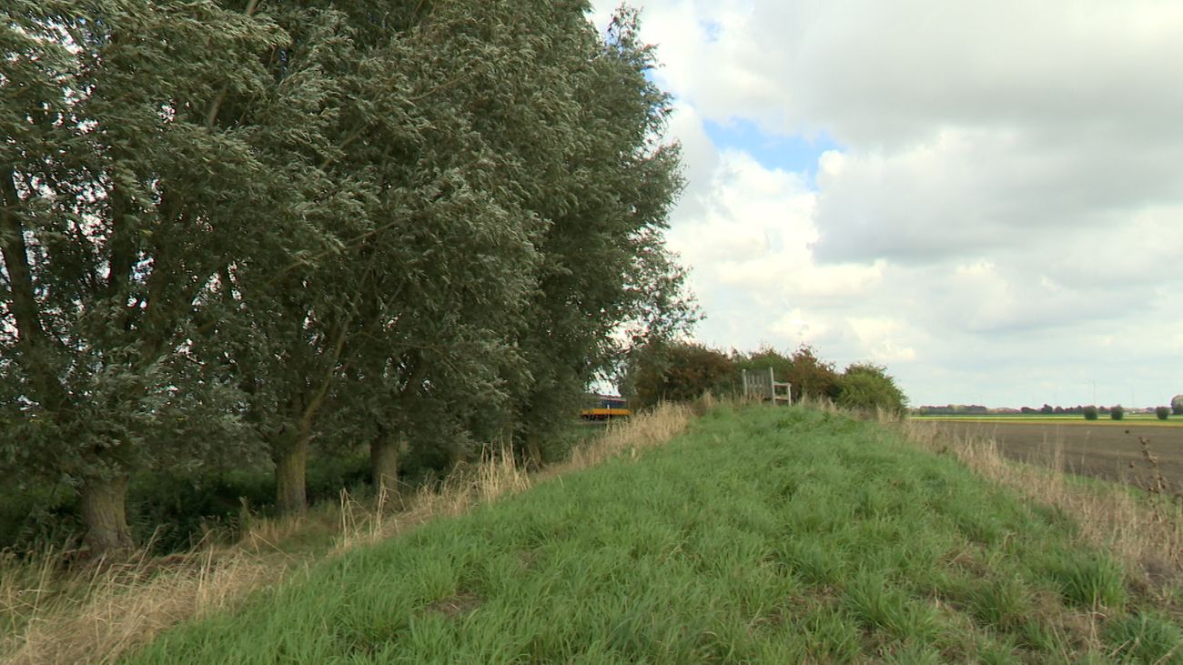 Vijftien jaar later: deze natuurstrook helpt boeren én insecten