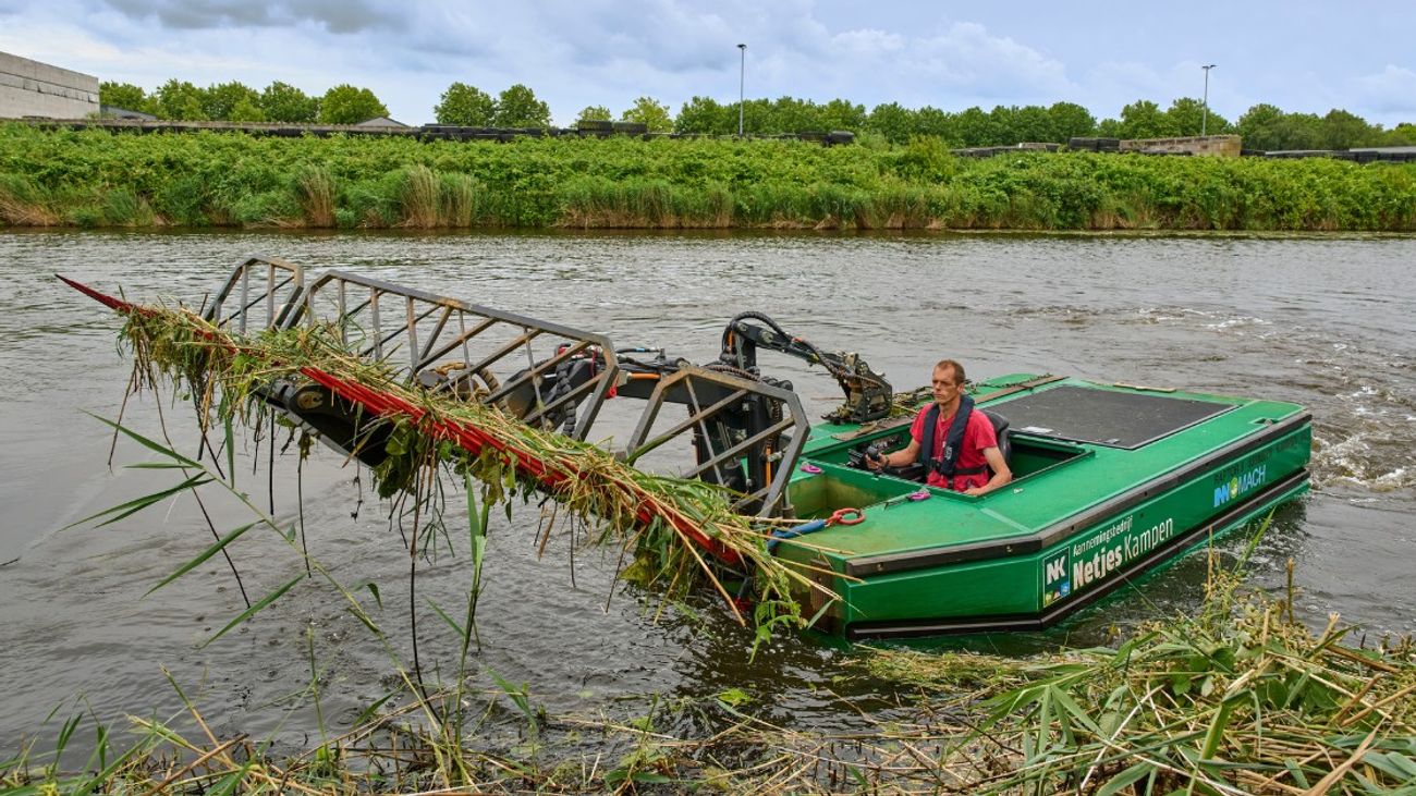 Nieuws - Waterschap start proef met elektrische maaiboten