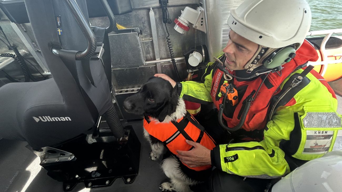 KNRM Lelystad rukt voor 50e keer uit en redt hond op Markermeer