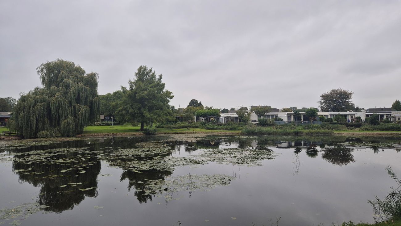 Omwonenden Bultpark verdeeld over veiligheid: van 'mijn kinderen mogen hier 's avonds niet lopen' to