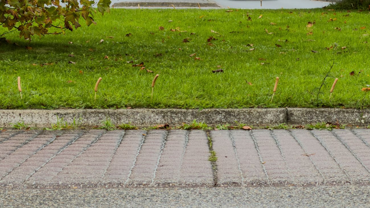 Worst case scenario: mysterieuze knakworsten duiken op bij rotonde in Dronten