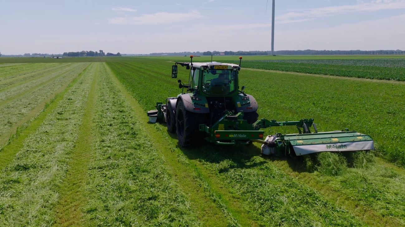 Proef met extract van zeewier bij biologisch melkveebedrijf, 'We denken in kansen'