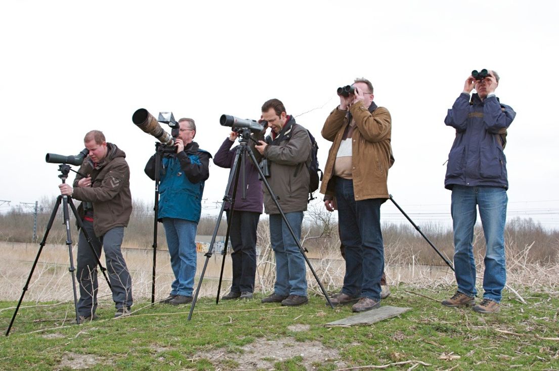 Gemist - Vogelspotten is hip, 'heel druk bij de Oostvaardersplassen'