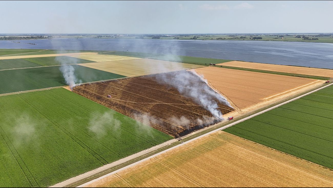 Nieuws - Acht hectare gerst in vlammen op door brand bij Kraggenburg