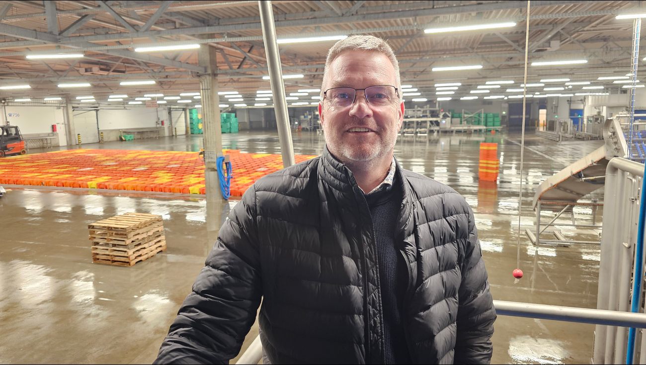 Nieuws - Ondanks steeds minder aanvoer van vis blijft Visveiling Urk overeind