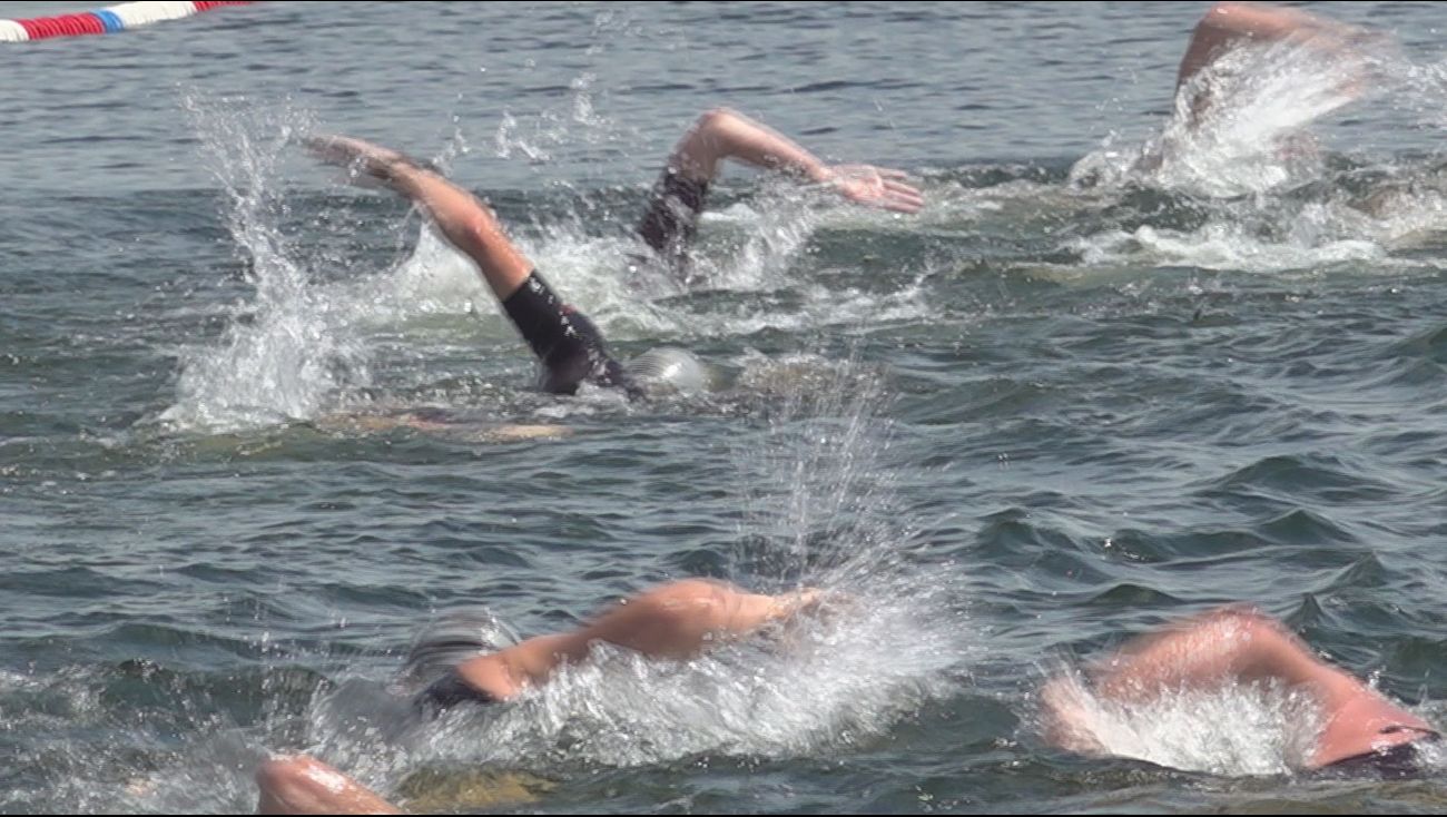 Nieuws - Zwemmen tegen kanker, nieuw evenement in de aanloophaven in Zeewolde