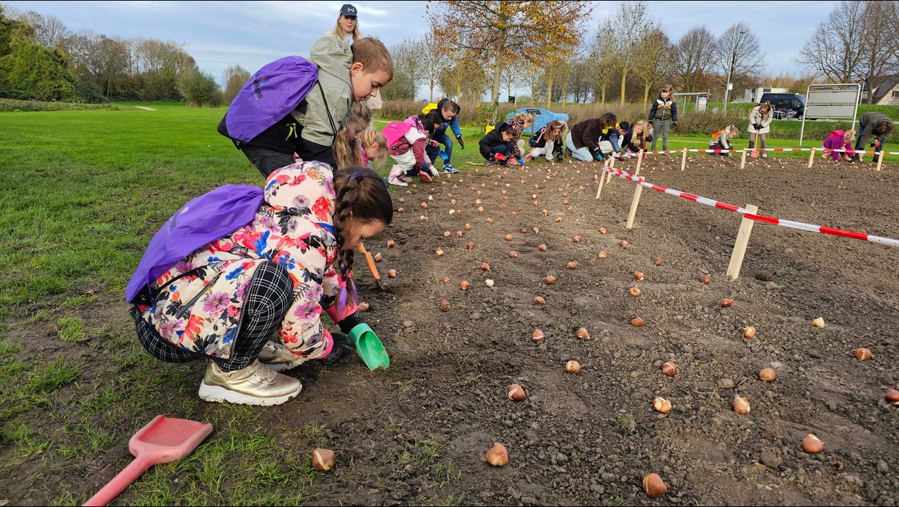 Nieuws - Kinderen planten tulpen en wilde bloemen voor biodiversiteit in Dronten