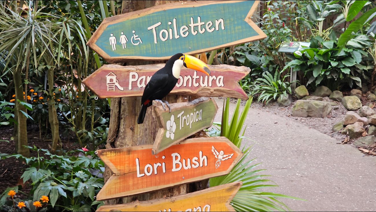 Nieuws - Uitbreidingsplannen Pantropica: waar nu wordt geschaatst komt straks een nieuwe kas