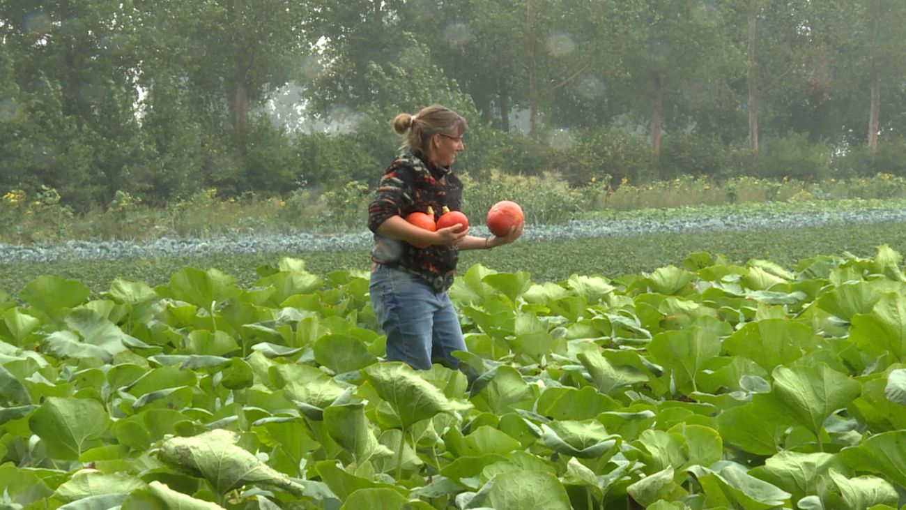 Oogstfeest moet boer en burger dichter bij elkaar brengen