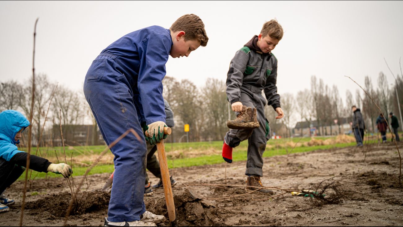 Nieuws - Het gaat niet goed met de bij, maar deze kinderen helpen hem een handje