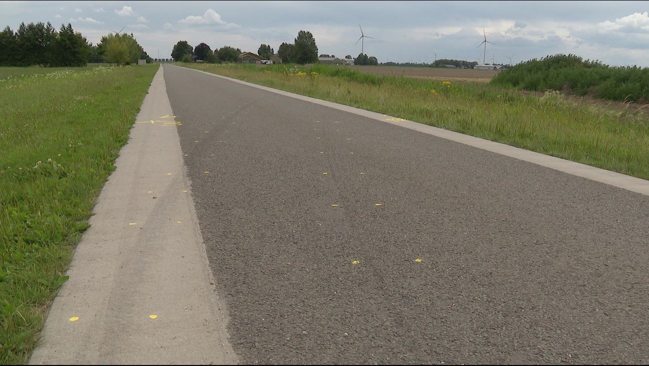 Nieuws - Politie: 'Omgekomen automobilist verloor macht over het stuur'