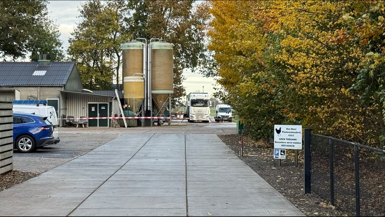 Nieuws - Vogelgriep bij pluimveebedrijf Emmeloord, 45.000 leghennen geruimd