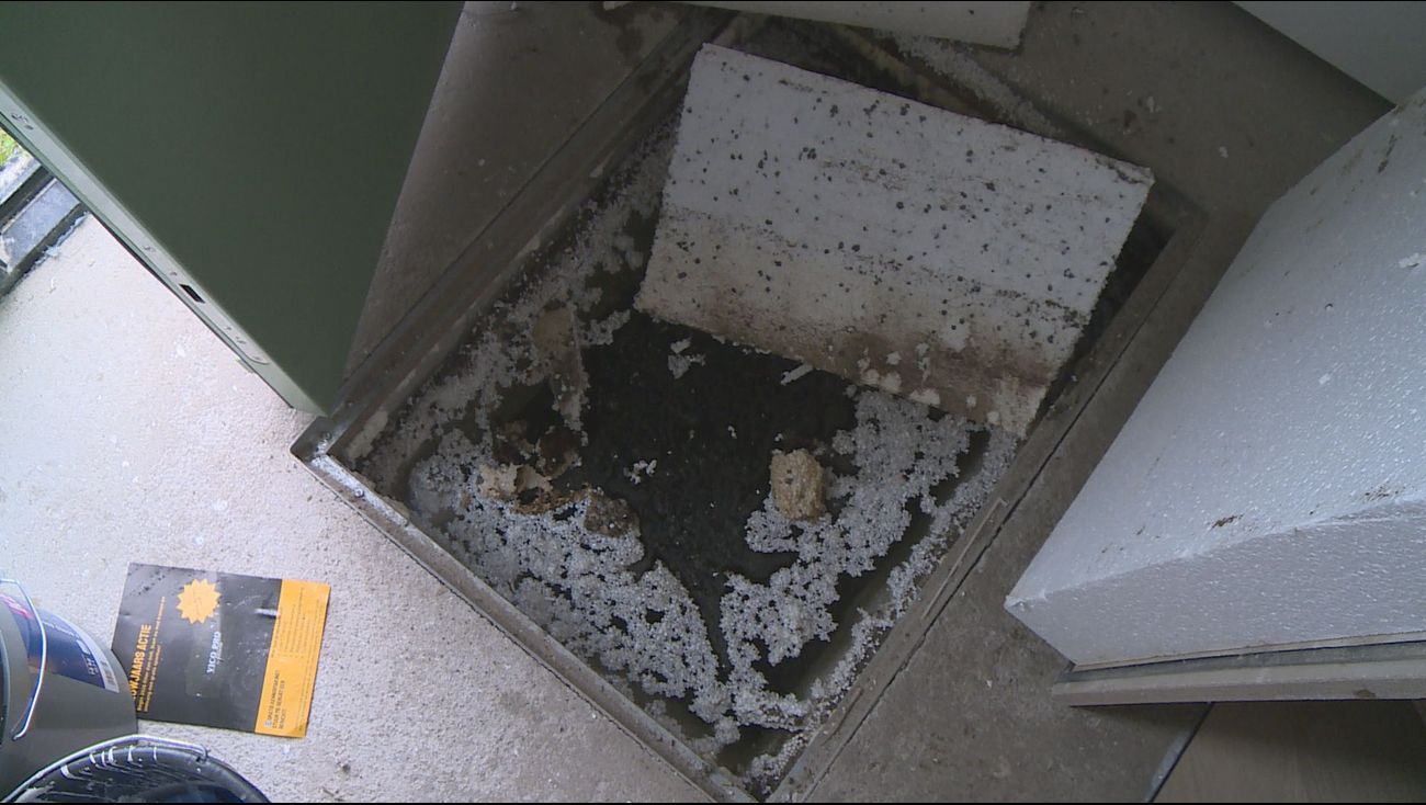 Nieuws - Wateroverlast Kreekvelden Oosterwold: 'Dit wordt niet vanzelf beter'