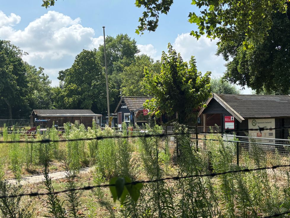 Nieuws - Kinderboerderij Lelystad slaakt noodkreet: 'We kunnen de dieren niet verzorgen'
