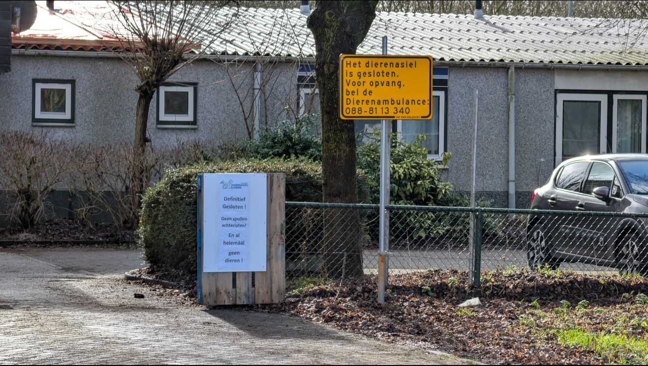 Nieuws - Dierenbescherming over opvang in Almere: 'We zetten hier iets moois neer'