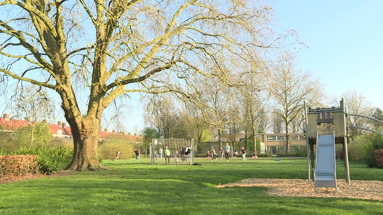 Raad van State bepaalt: geliefd speelveld mag grotendeels plaatsmaken voor nieuwe huizen in oudste d