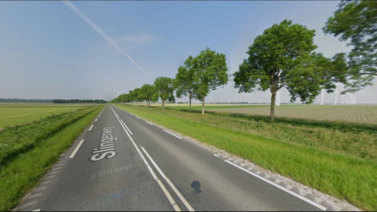 Nieuws - Provincie kapt 100 bomen langs Slingerweg in Zeewolde