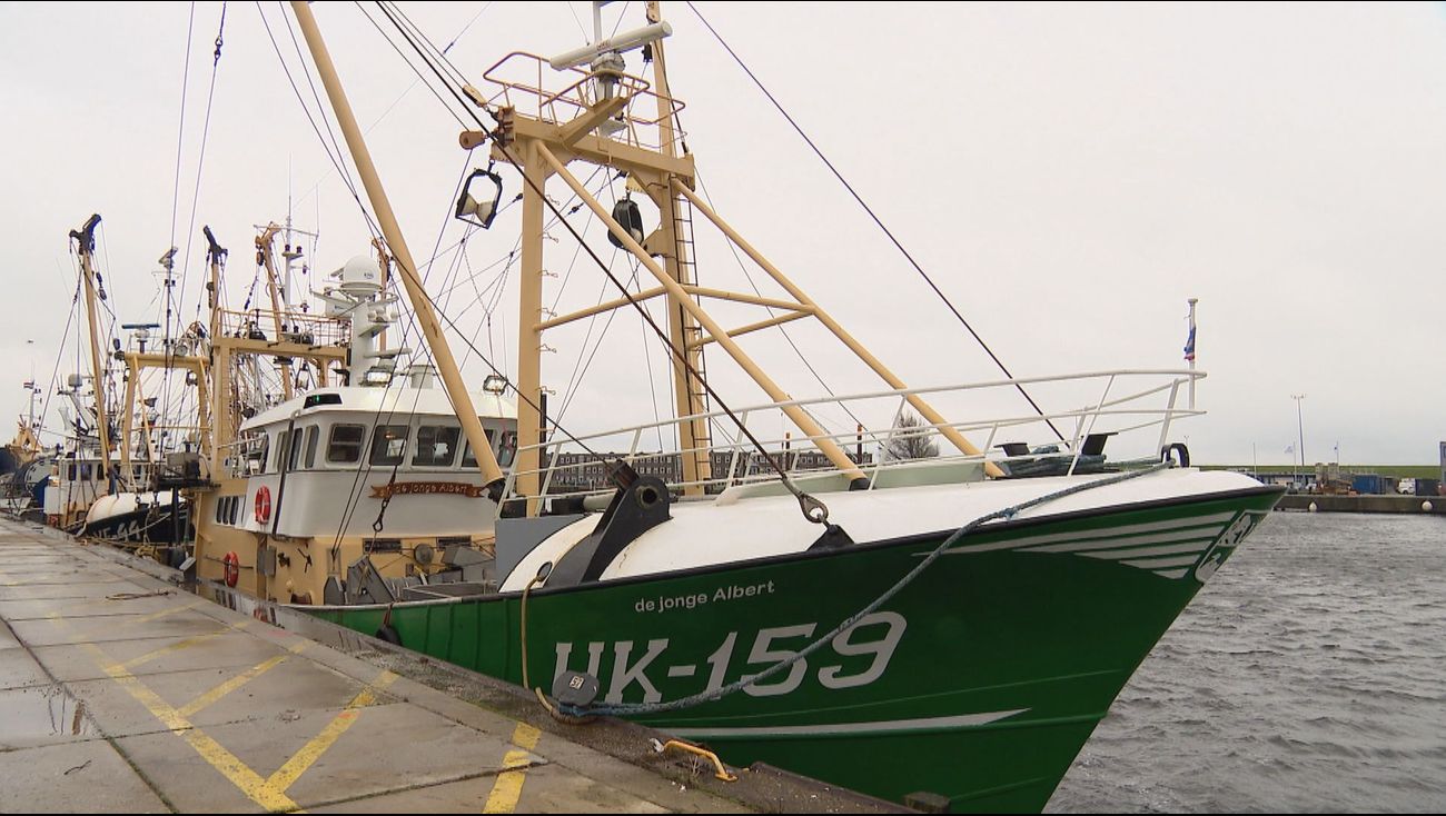 Nieuws - Vissers varen niet meer uit: 'gasolie niet te betalen, er valt niets te verdienen'