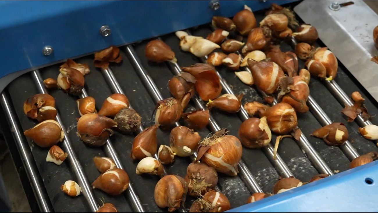 Gemist - Machinebouwer uit Creil wint innovatieprijs met 'lief pelmachientje'